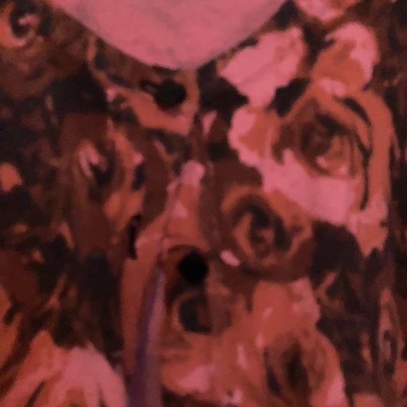 SMALL FASHION BUG VALENTINES SWEATER WITH ROSES - Picture 2 of 2